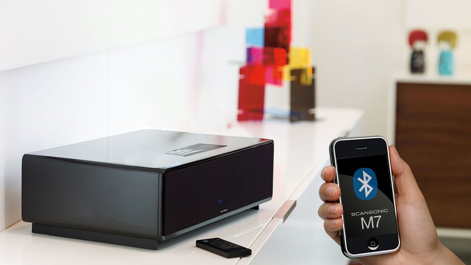 BLÅTANN KNEKKER DOKKING