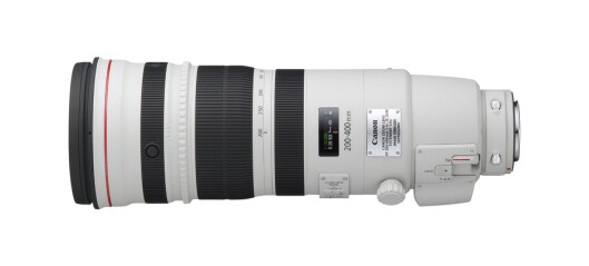 Canon EF 200-400mm f/4L IS USM Extender 1.4x
