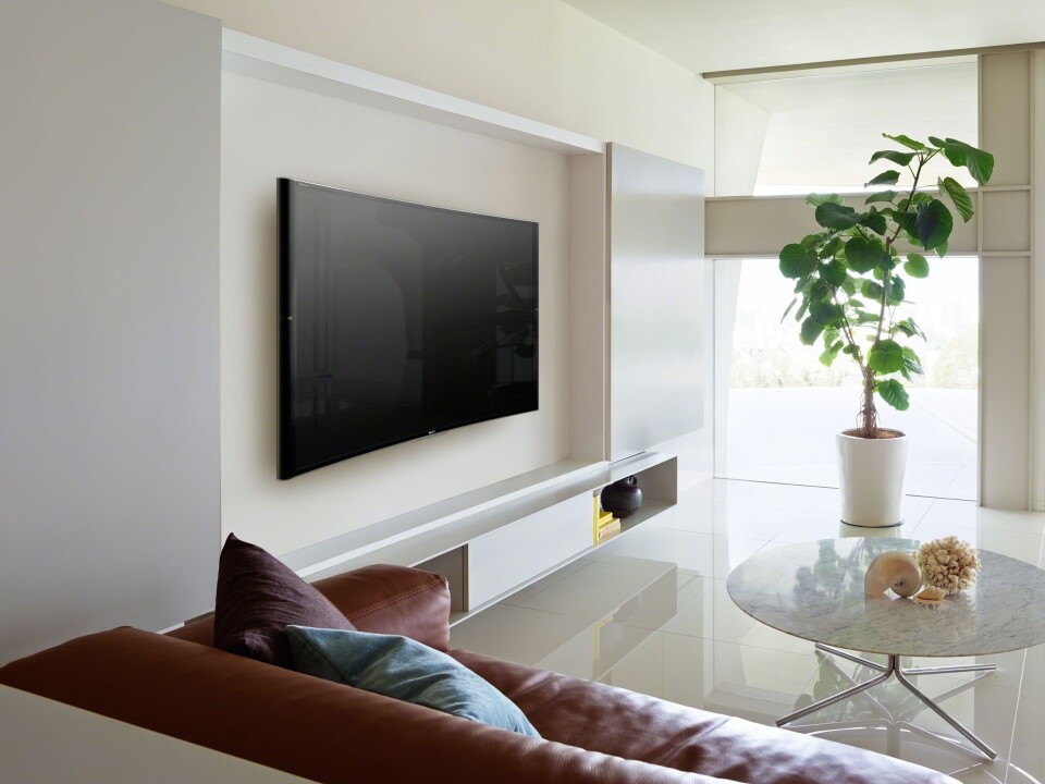 Sony Bravia S90