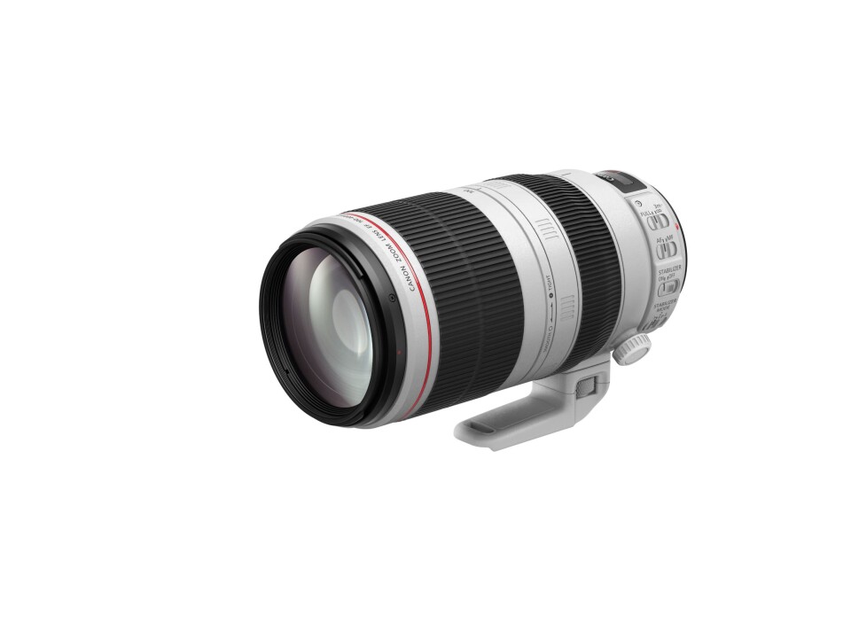 Canon EF 100-400mm f/4.5-5.6L IS II USM