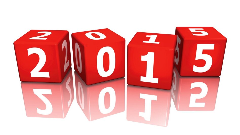 BRANSJEOPTIMISME FOR 2015