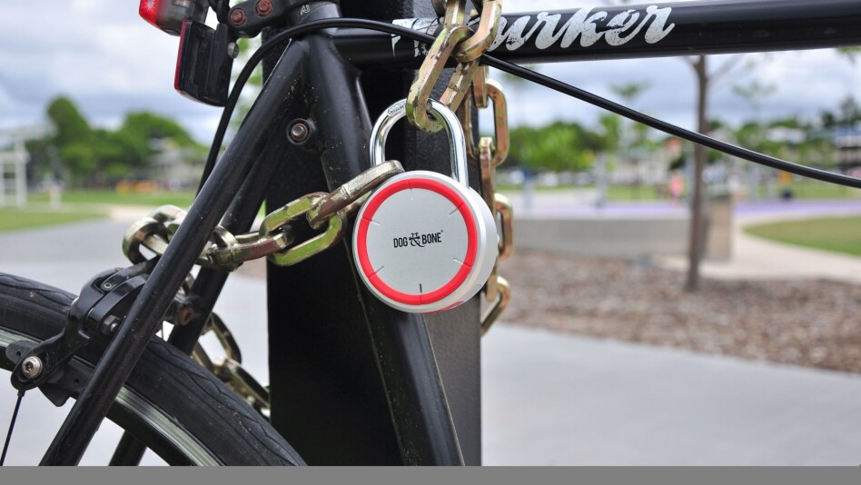 Dog & Bone LockSmart