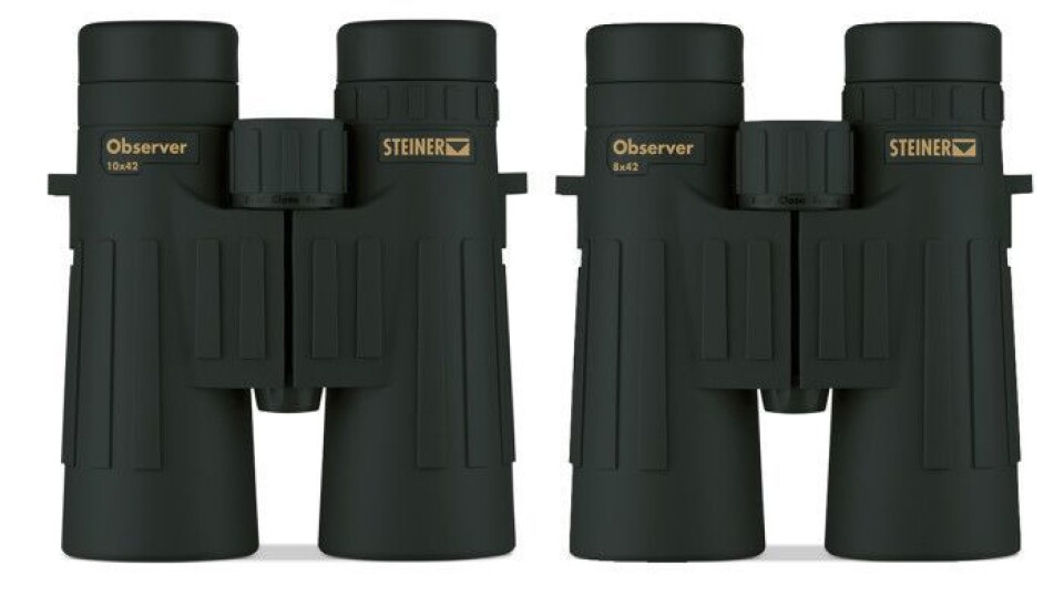 Steiner Observer
