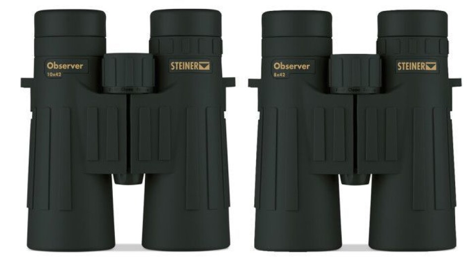 Steiner Observer