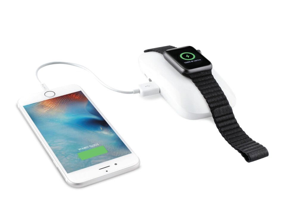 Puro Dual iPower Apple Watch Power Bank