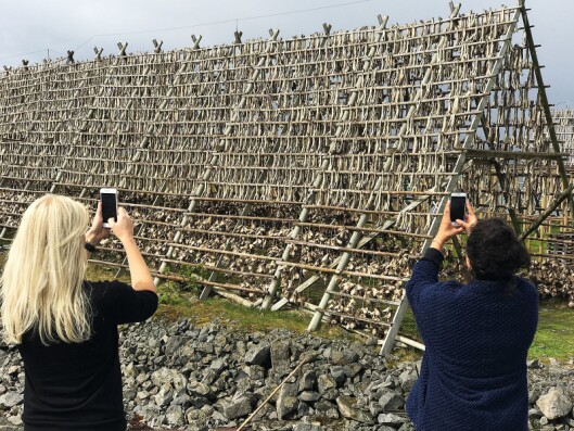 Et par av bloggerne benyttet anledningen til å fotografere noen av fiskehjellene i Henningsvær. Foto: Stian Sønsteng. Et par av bloggerne benyttet anledningen til å fotografere noen av fiskehjellene i Henningsvær. Foto: Stian Sønsteng.