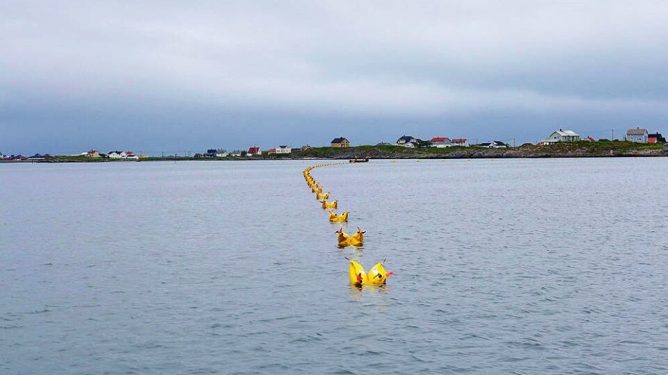 Bredbåndsstøtten fungerer, ifølge en ny rapport. Det sikrer bredbånd til distriktene, som her hvor Røst i Lofoten får ny fiberkabel. Foto: Telenor