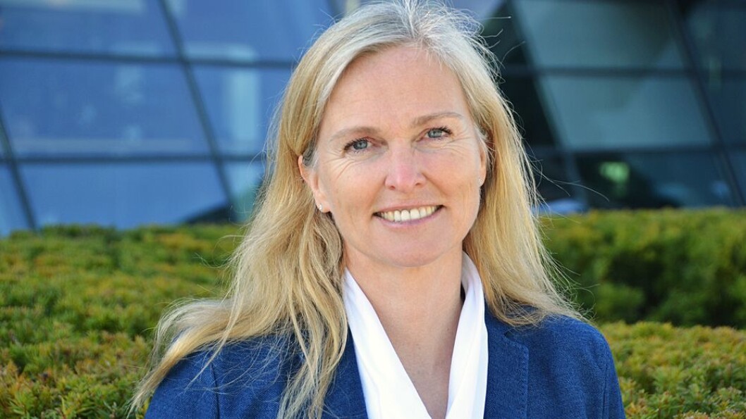 Christel Borge blir ny Dipper-sjef i Norge. Foto: Telenor Christel Borge blir ny Dipper-sjef i Norge. Foto: Telenor