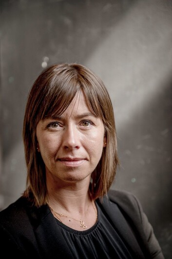 Heidi Austlid, administrerende direktør i IKT Norge. Foto: Norsirk. Heidi Austlid, administrerende direktør i IKT Norge. Foto: Norsirk.