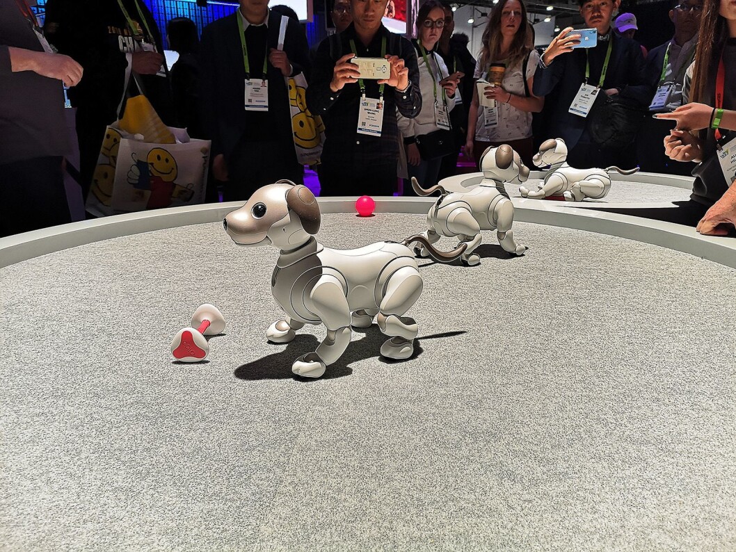 Sonys robothund Aibo er populær, men kan foreløpig kun kjøpes i USA og Japan. Foto: Marte Ottemo. Sonys robothund Aibo er populær, men kan foreløpig kun kjøpes i USA og Japan. Foto: Marte Ottemo.
