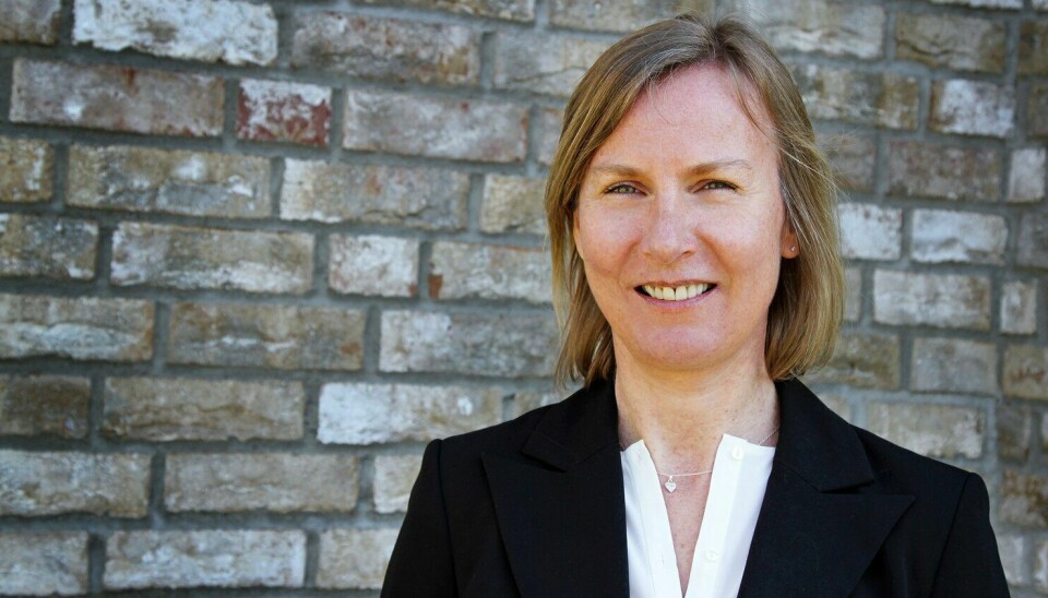 Elisabeth Aarsæther, direktør i Nasjonal kommunikasjonsmyndighet. Foto: Nkom