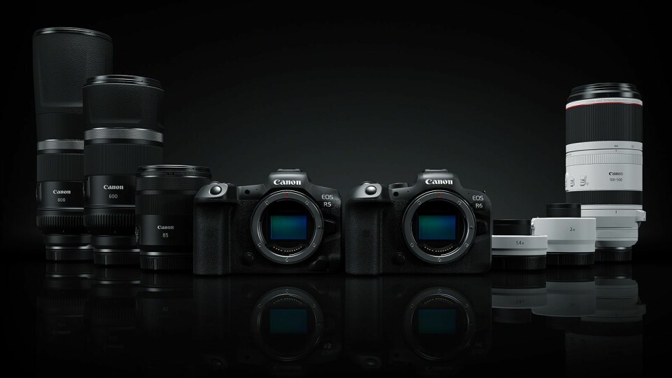 Canon RF 85, 100-500, 600 og 800mm