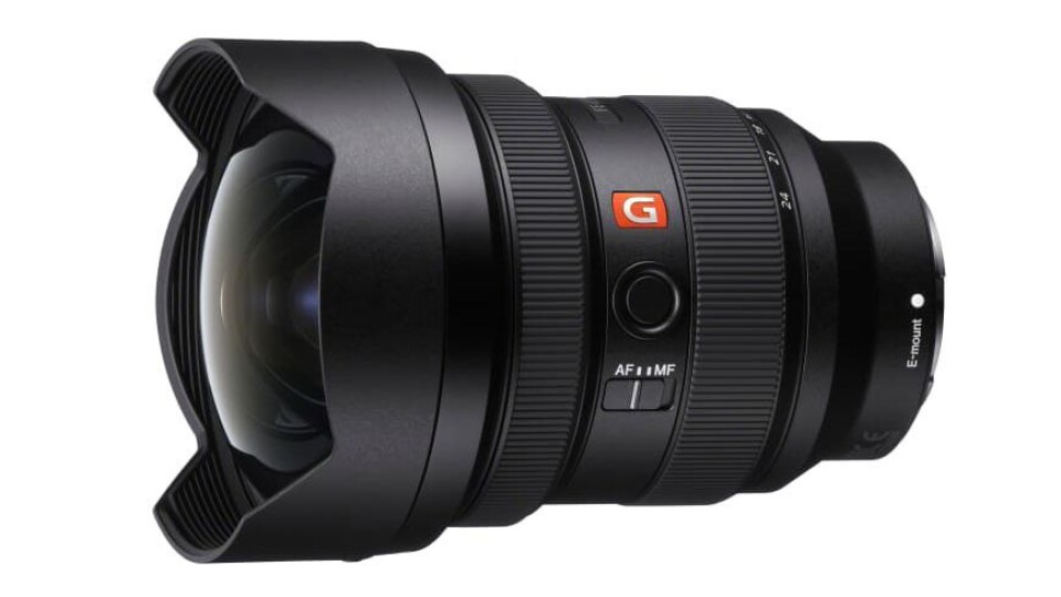 Sony SEL1224GM