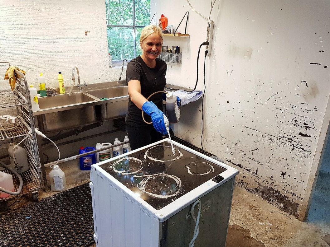 Alle produkter blir grundig rengjort. Her er Małgorzata Kowalskai gang med en komfyr. Foto: Jan Røsholm. Alle produkter blir grundig rengjort. Her er Małgorzata Kowalskai gang med en komfyr. Foto: Jan Røsholm.