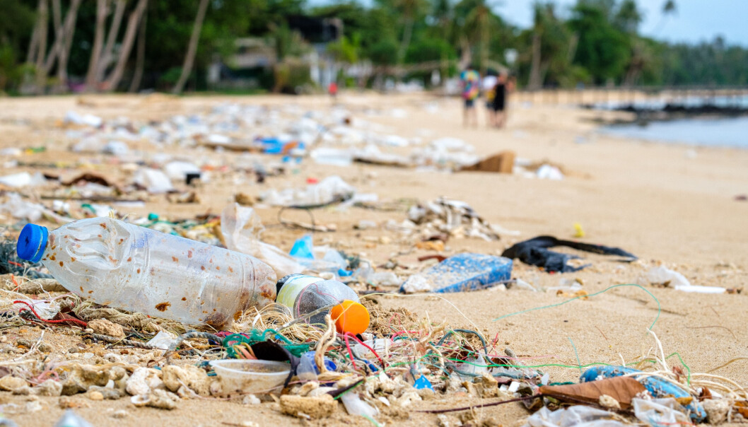 Foto: iStock Foto: iStock