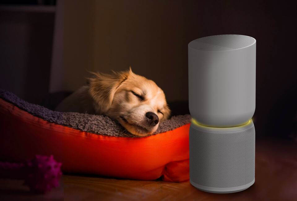 TCL Breeva A5. Foto: TCL