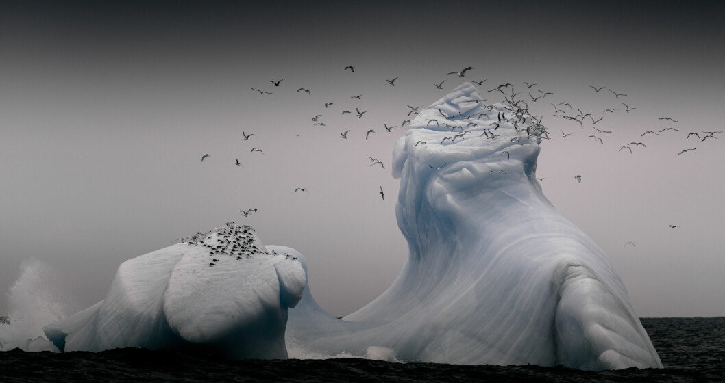 «Isfjell» av Andreas Wolden, ble trukket fram i natur-kategorien i fjorårets kåring. Foto: Andreas Wolden.