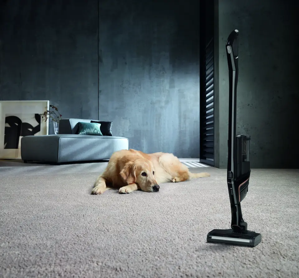 Finalist: Miele Triflex HX2. Foto: Miele Finalist: Miele Triflex HX2. Foto: Miele