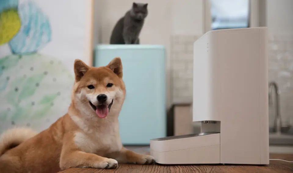 Xiaomi Smart Pet Food Feeder porsjonerer inntil ti måltider i døgnet, hver kan ha ulik fôrmengde i 30 trinn fra 5 til 150 gram. Pris: 1.400,- Foto: Stian Sønsteng Xiaomi Smart Pet Food Feeder porsjonerer inntil ti måltider i døgnet, hver kan ha ulik fôrmengde i 30 trinn fra 5 til 150 gram. Pris: 1.400,- Foto: Stian Sønsteng