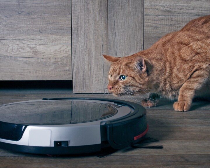 Foto: iStock