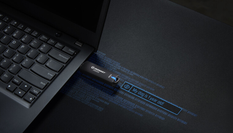 KINGSTON IRONKEY D500S