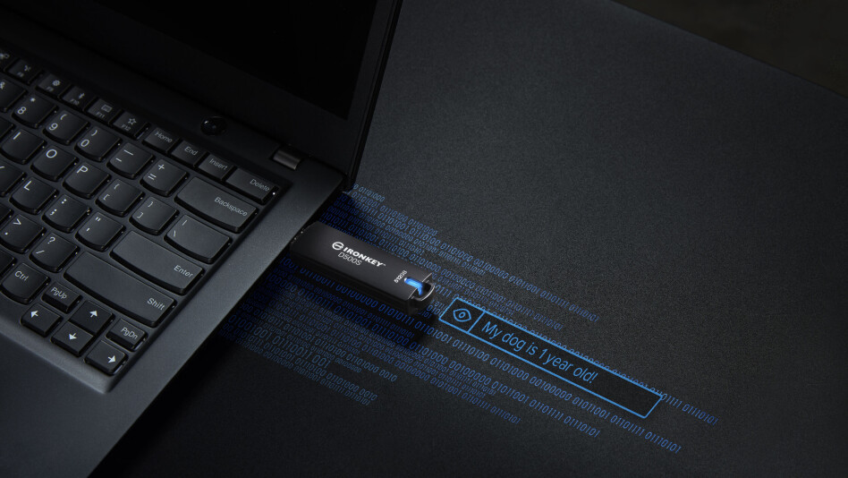 KINGSTON IRONKEY D500S