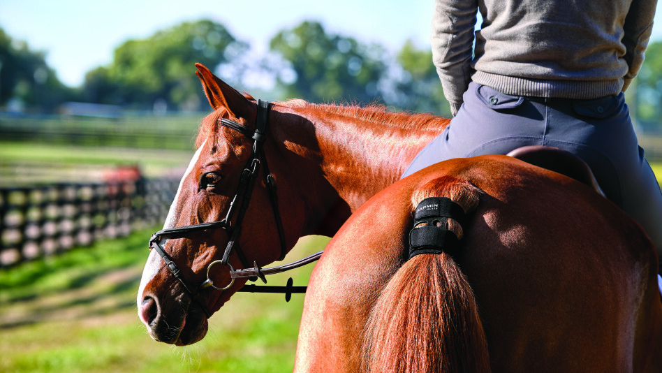 GARMIN BLAZE