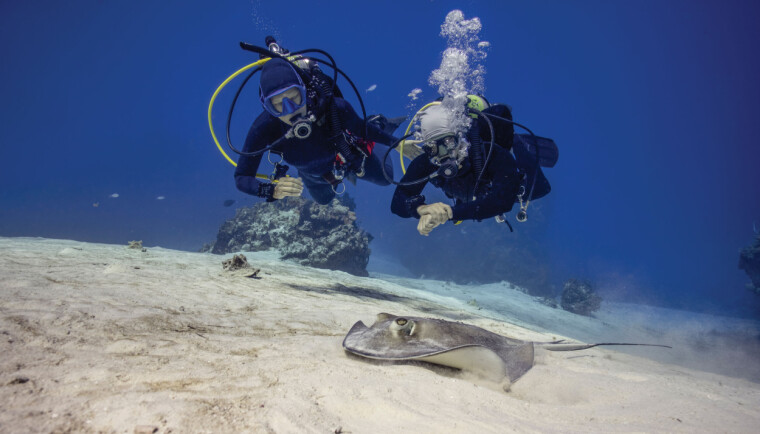 Garmin Descent X30. Foto: Garmin